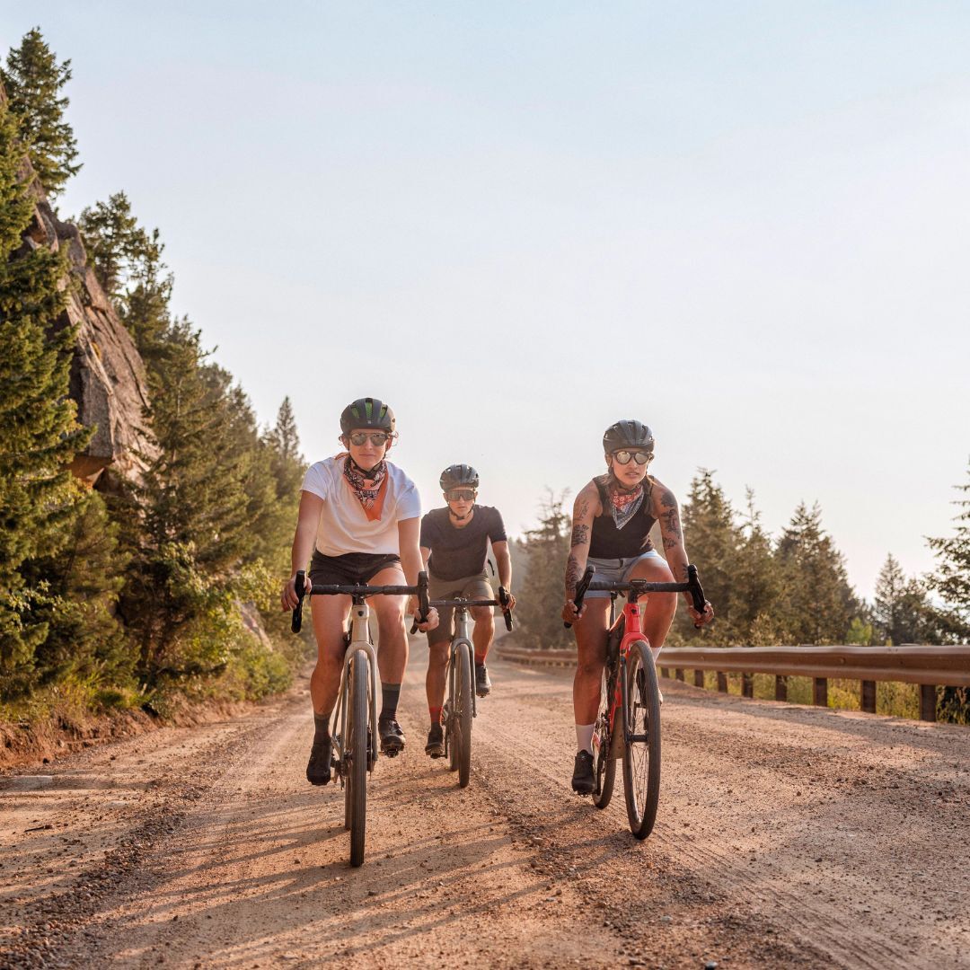 Gravel & Touring Bikes - D Byk Store