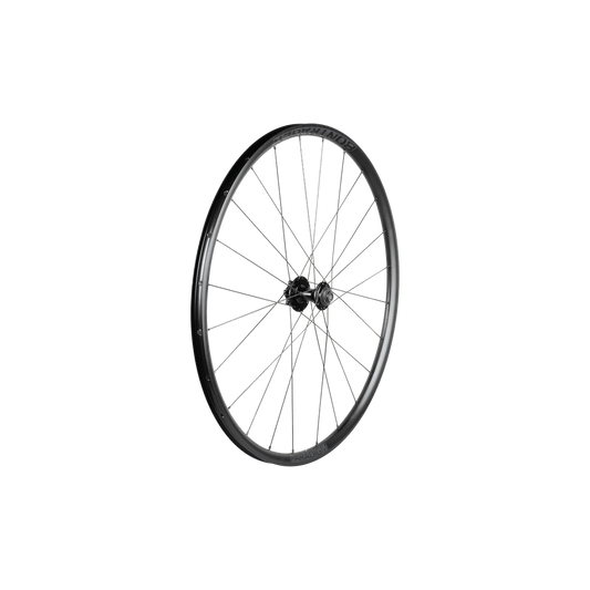 Bontrager Paradigm SL 6 - Bolt Disc 24H 700c Road Wheel - Front - D Byk Store