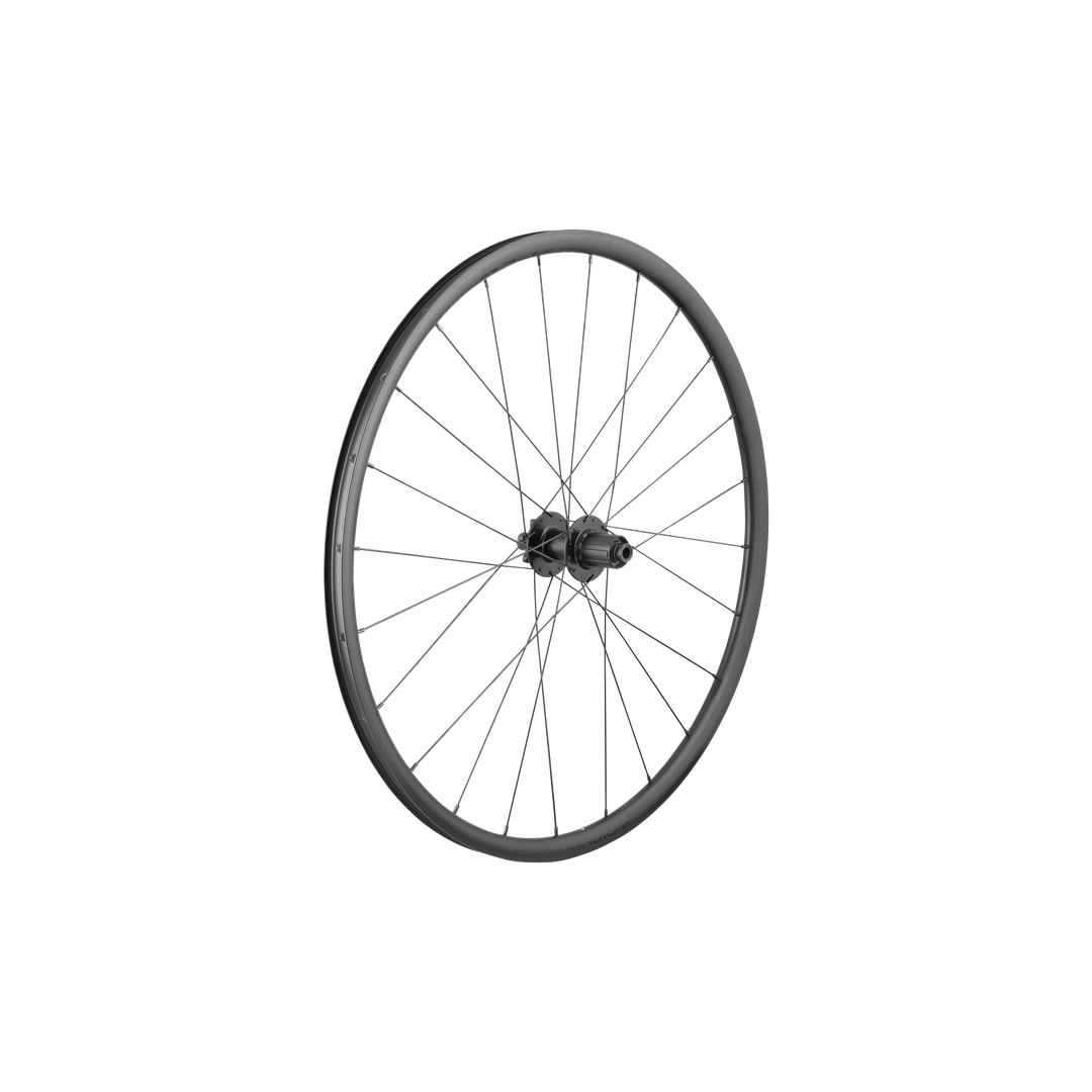 Bontrager Paradigm SL 6 - Bolt Disc 24H 700c Road Wheel - Rear - D Byk Store