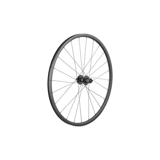 Bontrager Paradigm SL 6 - Bolt Disc 24H 700c Road Wheel - Rear - D Byk Store