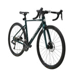 Bonzai Endurance 18 - Emerald Deep Green - D Byk Store