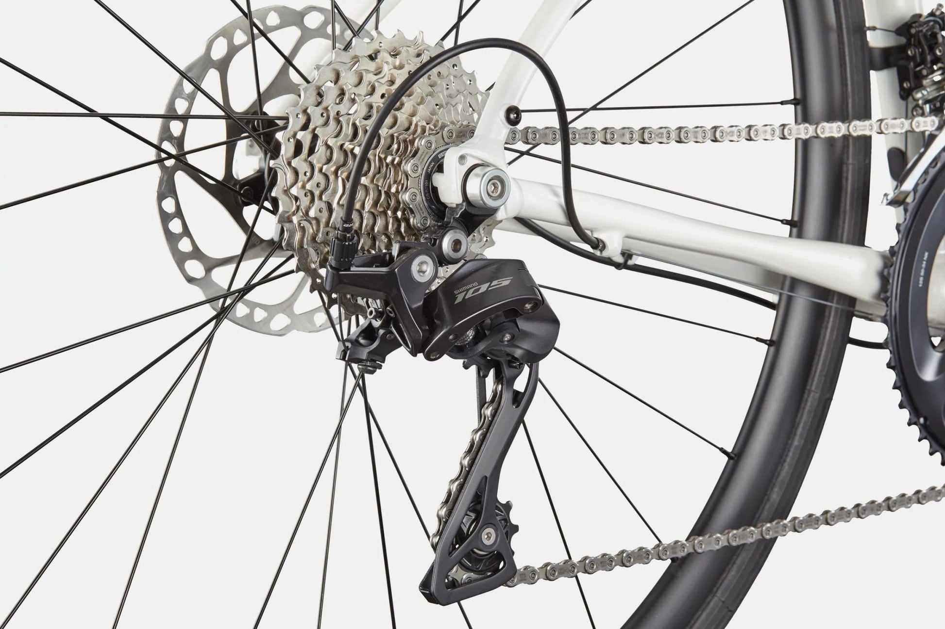 Cannondale Synapse 1 - Cashmere - D Byk Store