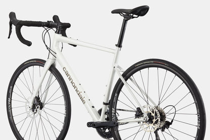Cannondale Synapse 1 - Cashmere - D Byk Store
