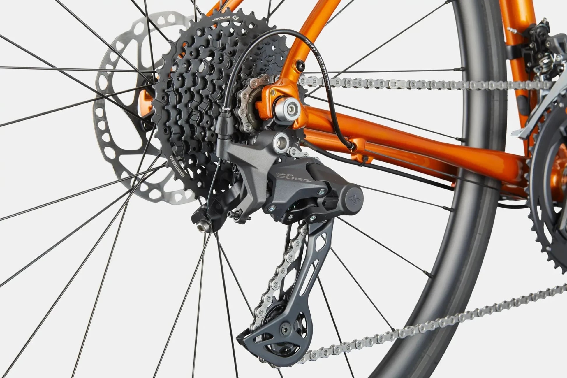 Cannondale Synapse 2 - Tiger Eye - D Byk Store