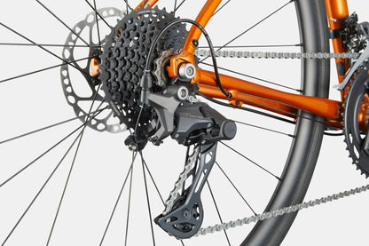 Cannondale Synapse 2 - Tiger Eye - D Byk Store