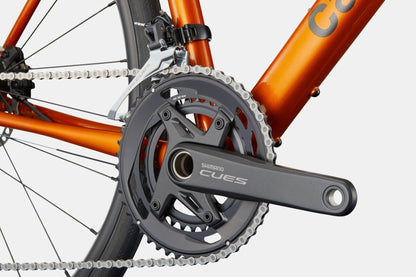 Cannondale Synapse 2 - Tiger Eye - D Byk Store