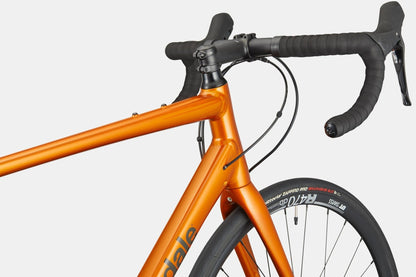 Cannondale Synapse 2 - Tiger Eye - D Byk Store