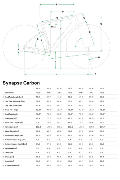 Cannondale Synapse Carbon 5 - Black - D Byk Store