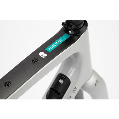 Chapter2 AO Gravel Disc Brake Frameset-Silver Matt - D Byk Store