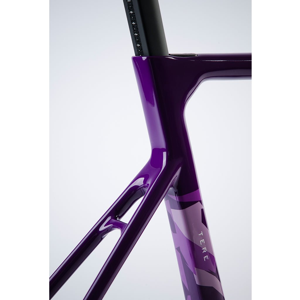 Chapter2 TERE All - Road Disc Brake Frameset - Purple Sky - D Byk Store