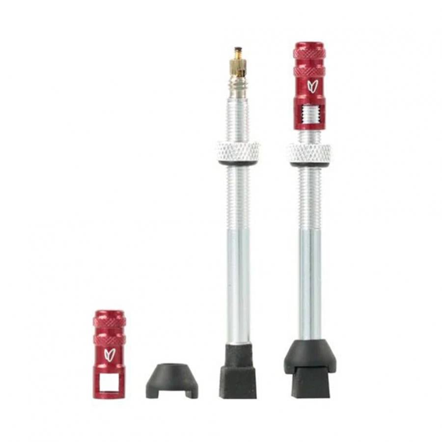 Effetto Mariposa Tubeless Valves (70mm) - Silver (Pack of 2) - D Byk Store