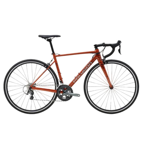 Polygon Strattos S4 - Bronze
