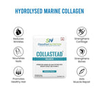 Steadfast CollaStead | Marine Collagen Supplement - D Byk Store