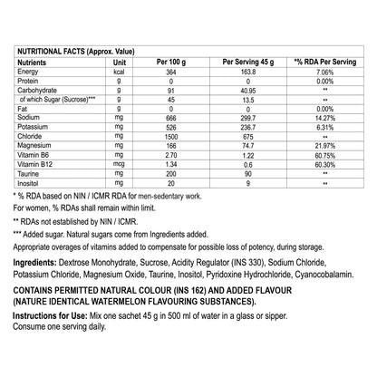 Steadfast Nutrition Snergy | Instant Energy Drink | Watermelon - D Byk Store