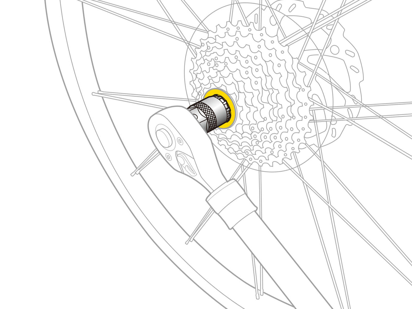 Topeak Freewheel Remover - D Byk Store