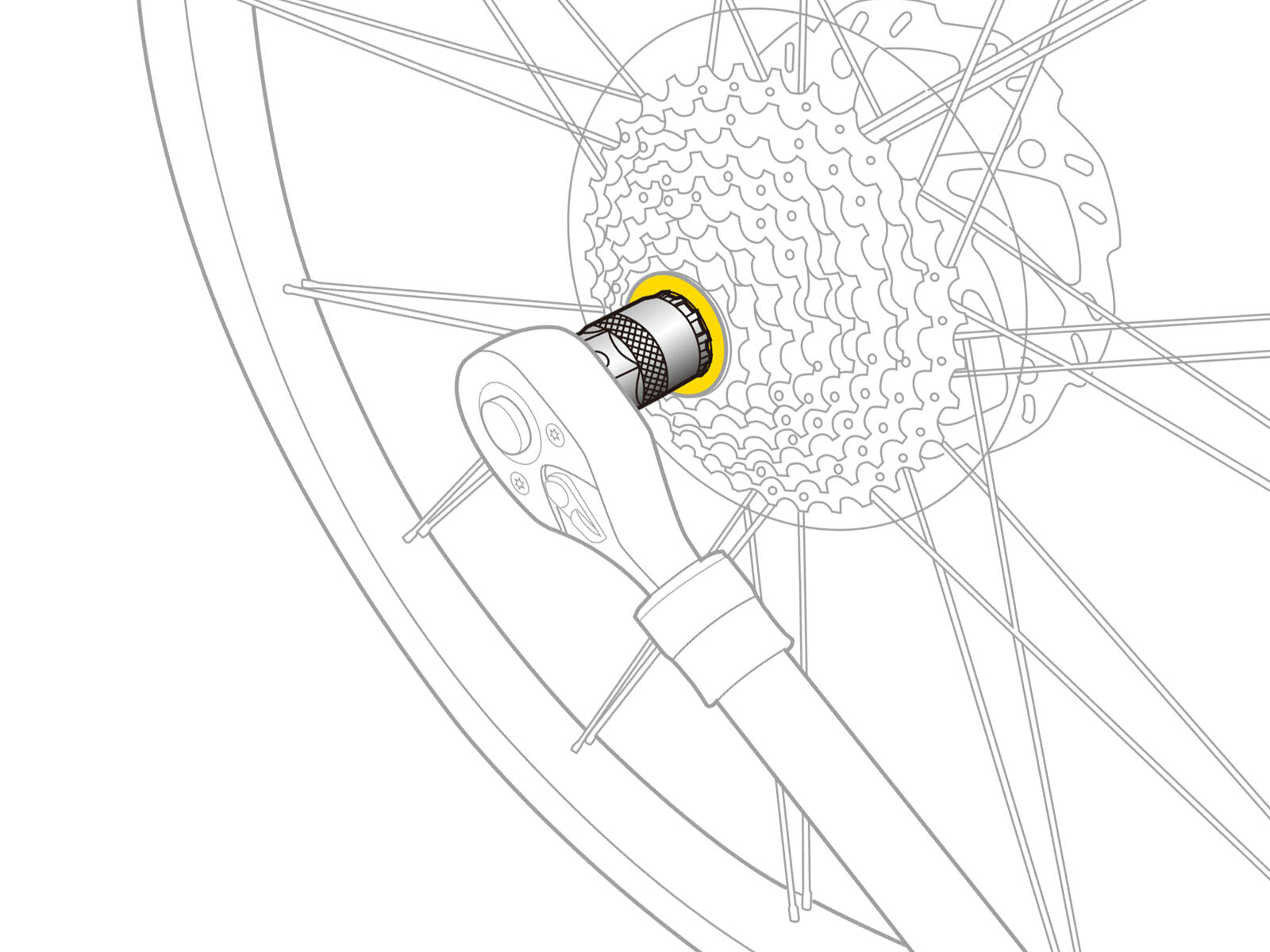 Topeak Freewheel Remover - D Byk Store