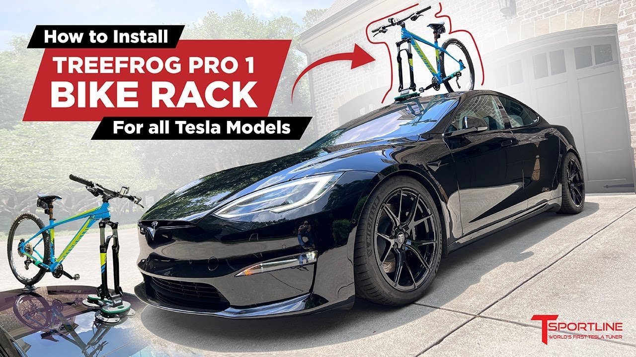 TreeFrog Pro 1 Bike Rack (For Road/MTB) - D Byk Store