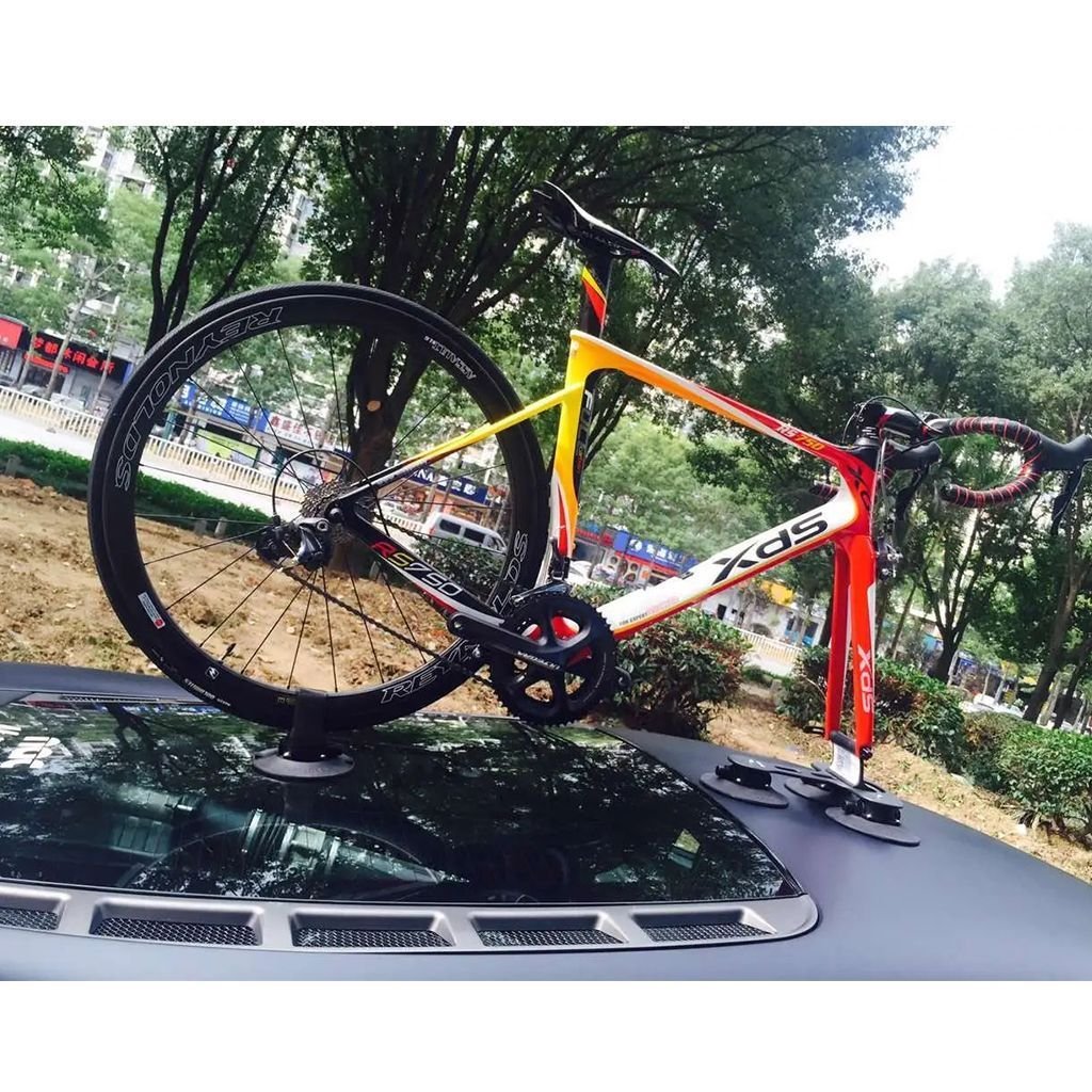 TreeFrog Pro 1 Bike Rack (For Road/MTB) - D Byk Store