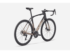 Trek Domane SL 6 Gen 4 - Dark Star to Bronze Age Fade - D Byk Store